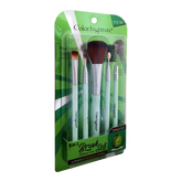 Color Institute 5 in 1 Brush Set